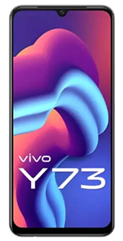 vivo y73