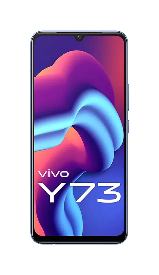 vivo y73 pictures